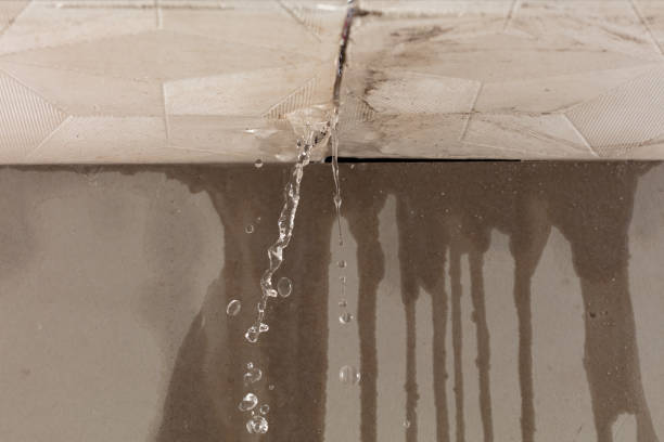 Professional Structural Drying technician working in Pax, WV